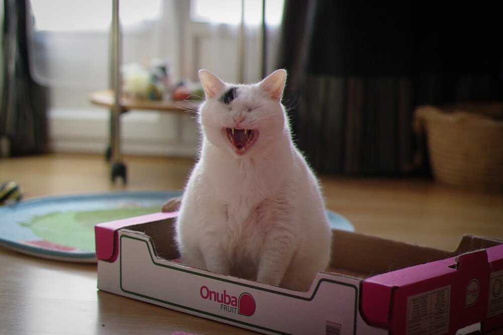 欧冠决赛之夜，久保建英关键回合不手软