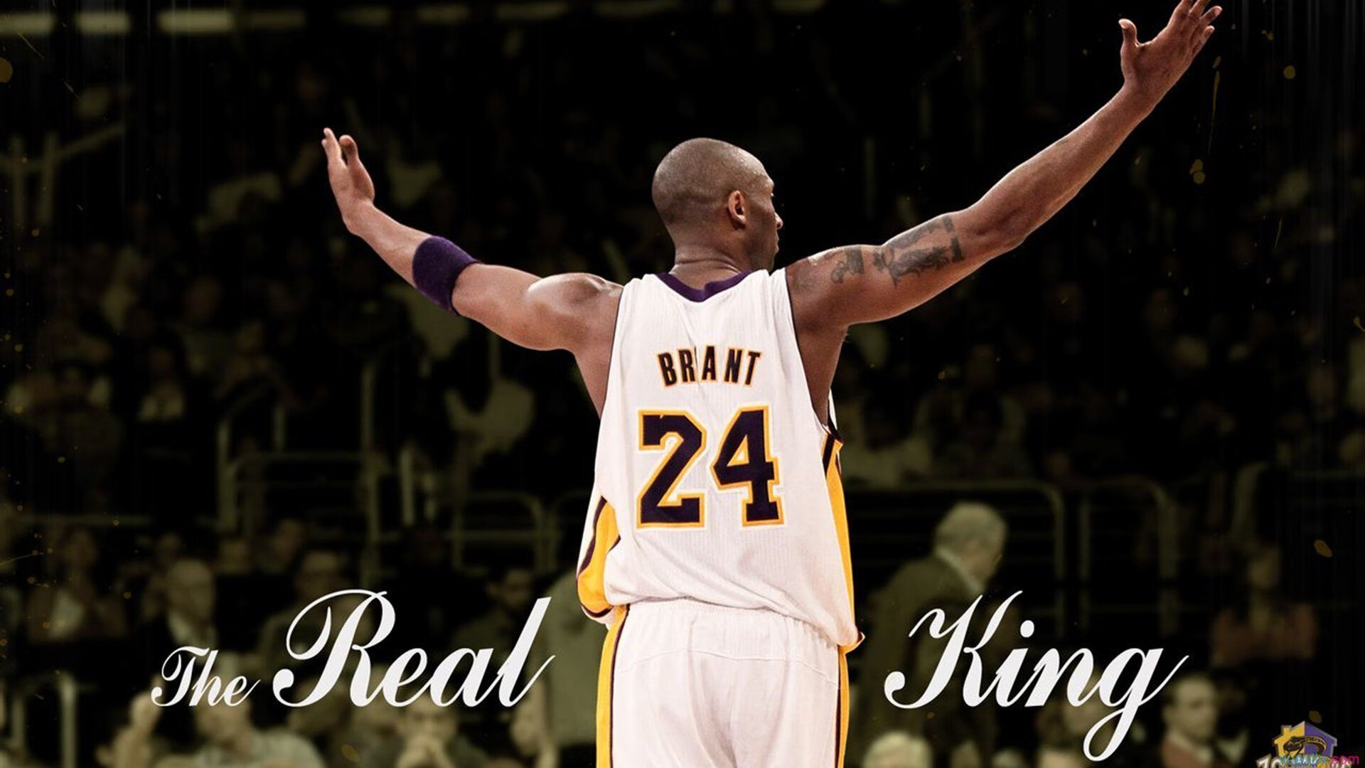 戴维斯杯力克联合杯,辛纳刷新纪录背后的网球新纪元